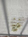 IMG_20230611_163953.jpg