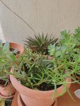 20230613_100018.jpg 20230613_100018.jpg