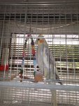 IMG-20230613-WA0010.jpg