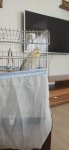 IMG_20230617_164938.jpg