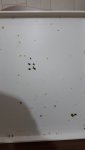 20230619_090609.jpg