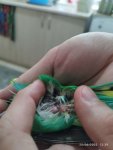 foto1.jpg