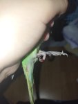 IMG_20230622_223037.jpg