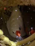 IMG_2679.jpeg
