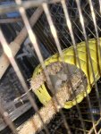 IMG_2658.jpeg