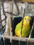 IMG_0171.jpeg