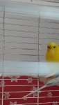 88f55151-a3e2-4df0-ab24-ee11fe5b2001.jpeg