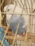 IMG20230702181702.jpg