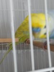 IMG_20230704_121841.jpg