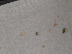 IMG_20230704_121746.jpg