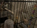 IMG_7860.jpeg