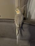 IMG_7871.jpeg