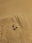IMG_20231003_003127.jpg