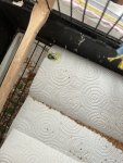 IMG_7900.jpeg