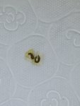 IMG_20231008_030458.jpg