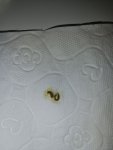 IMG_20231008_030441.jpg