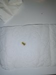 IMG_20231008_030433.jpg