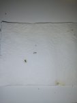 IMG_20231008_014634.jpg