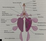 IMG_20231013_105408.jpg