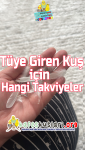 tüye giren kuş kafeskuslari.com bird kafeskuslari.org.png