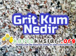 grit kum nedir kafeskuslari.com kafeskuslari.rog.png