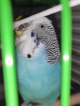 IMG_20231201_162747.jpg