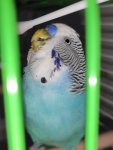 IMG_20231201_162735.jpg