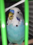 IMG_20231201_162714.jpg