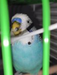IMG_20231201_162640.jpg