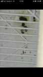 CCC56BD4-2B01-4516-8989-F0C9F8607923.png