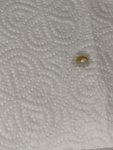 IMG_20231203_221110.jpg