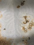 IMG_20231203_220451.jpg