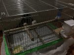 IMG_1317.jpeg