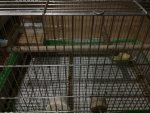 IMG_1316.jpeg