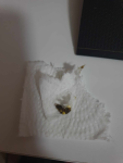 1701781264041.png