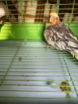 f9dd1056-b259-4847-8492-eb9f4efcc601.jpeg