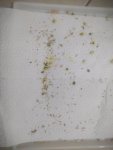 IMG_20231205_203025.jpg