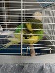 IMG_0402.jpeg