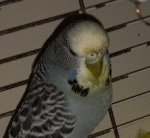 20231209_233404.jpg