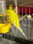 IMG-20231210-WA0003.jpg