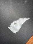 IMG_4422.jpeg