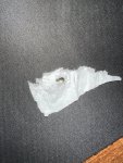 IMG_4423.jpeg