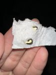 IMG_4430.jpeg