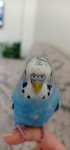 IMG_20231211_111341.jpg