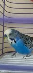 IMG_20231212_185338.jpg