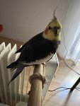IMG_7371.jpeg
