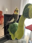 IMG_6943.jpeg