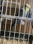 AEE75587-2D2F-462E-973E-D14152CC3653.jpeg