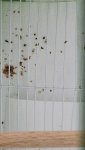 20231223_225218.jpg