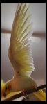Screenshot_2024-01-02-00-19-00-504_com.miui.videoplayer.jpg